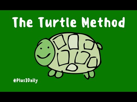 Slow & Steady Product Launches - The Turtle Method - YouTube