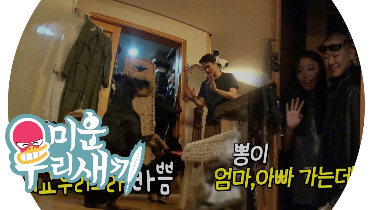 ‘간식 홀릭’ 벨X춘뽕, 떠나는 부모도 모르쇠! @미운 우리 새끼 141회 20190602