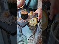 Bar at chihuly garden and glass museum