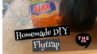 Homemade fly trap