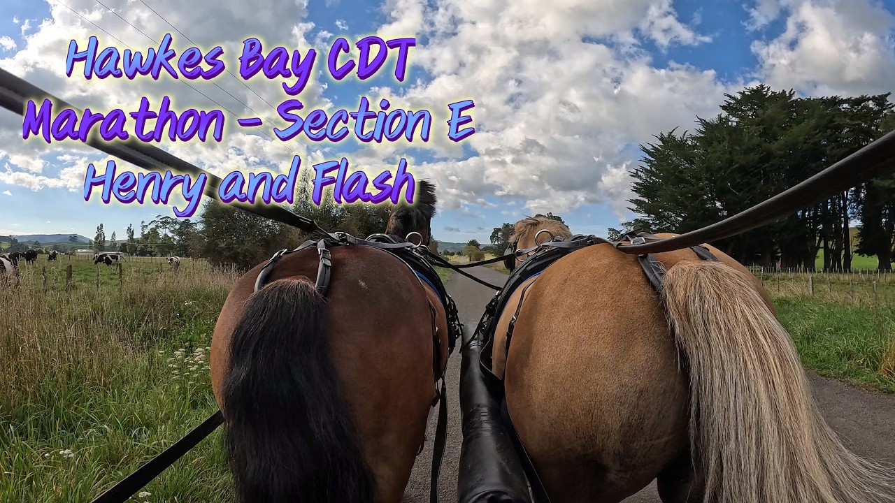 Season 2026 - Hawkes Bay - Henry and Flash - Marathon Section E