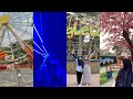 Jungleland vlog 2023 