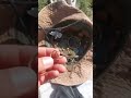 отдых на алаколе