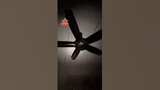 Q U S H 🐎 - Berubat Rumah Pesakit ! - 26-11-2025