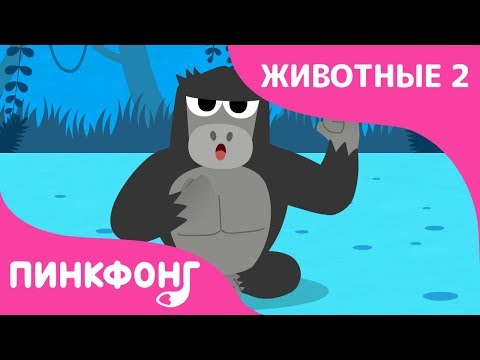 Смотреть снежинка белая горилла мультфильм