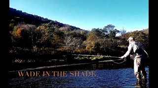 FLY FISHING- WADE IN THE SHADE with Chris Walklet