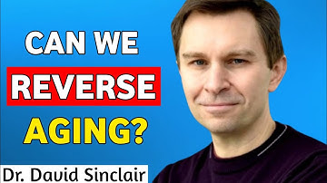 Is veroudering omkeerbaar? Een wetenschappelijke blik met David Sinclair | Dr. David Sinclair