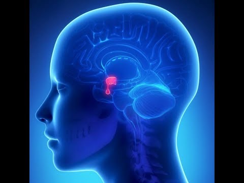 Sheehan Syndrome