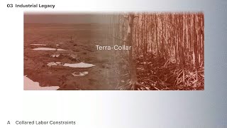 TTF 2021 – Terra-Collar Work