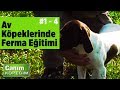 Av Köpeklerinde Ferma Eğitimi Canım Köpeğim Sezon 1_B4 - YABAN TV - Burak Kabakçı