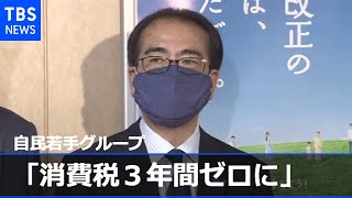 自民若手グループ「消費税３年間ゼロに」提言提出