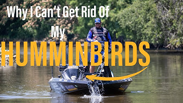 Why I Just Can’t Seem To Get Rid Of My HUMMINBIRD Units!!