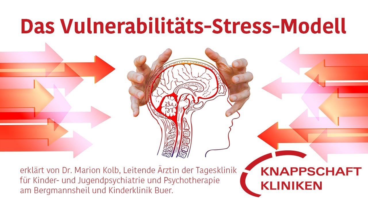 Vulnerabilitäts-Stress-Modell: Wie stressresistent ist ein Mensch? - YouTube