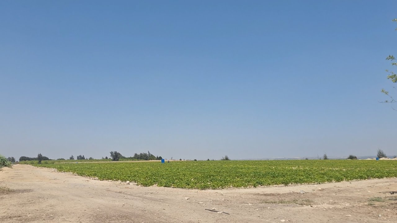 امكانيات محترمة جدا فرصة حقيقية 20 فدان في وادي النطرون طريق مصر اسكندرية الصحراوي