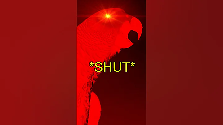 Scolding the Little Birds 🤭