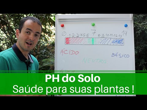 A importância de