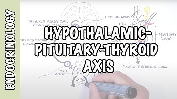 Hypothalamic Pituitary Thyroid Axis (regulation, TRH, TSH, thyroid hormones T3 and T4)