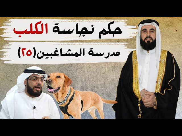 الرد على وسيم يوسف في حكم نجاسة الكلب مدرسة المشاغبين