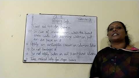 Class 4 Science Ch.8 Keeping Safe Video no 3