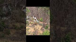 Download Lagu catching a deer with a rope MP3