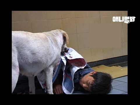 차가운 길바닥에서 잠든 꼬마를 보고 리트리버가 한 행동ㅣRetriever <strong>Dog</strong> Covers A Homeless <strong>Child</strong> With A Newspaper To Keep Warm