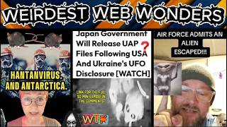 weirdest web wonders vol 197