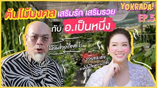 ต้นไม้มงคล เสริมรัก เสริมรวย กับ อ.เป็นหนึ่ง | YOKRADA EP.5