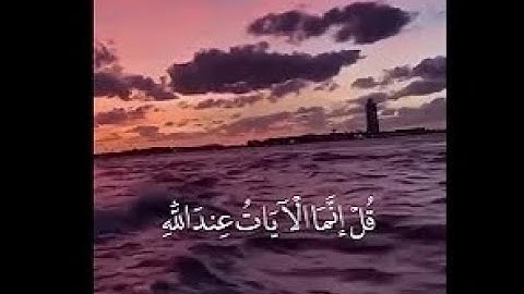 سورة العنكبوت { وَقَالُوا لَوْلَا أُنزِلَ عَلَيْهِ آيَاتٌ مِّن رَّبِّهِ }🤍🤍