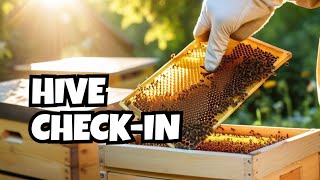 Maximizing Hive Health on a Warm Winter Day: Checking For Food and Life