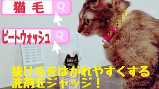 動物と暮らす人のための衣料用洗剤を使ってみた！【猫の抜け毛】【犬の抜け毛】衣類から動物の"抜け毛"をはがれやすくする洗剤はいかに？No.40