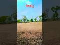 जंगल में मंगल हो गया #funny #yutubeshorts #trending #song
