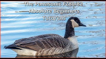 Absolute Beginner