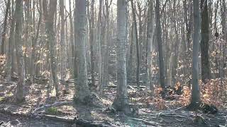 Video #386: Fairy dust precipitation...so pretty