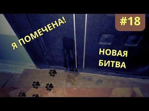Deceived with the Apartment/Removing Fat/New Urine Problem/Dirty Oven / Part 18