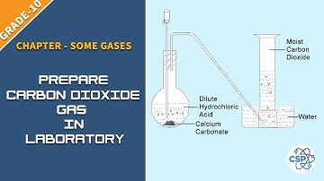 To Prepare Carbon Dioxide Gas In Laboratory | NEB Class-10