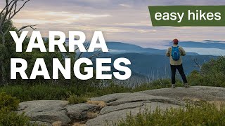 Best Beginner Hikes in the Yarra Ranges