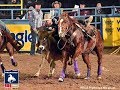 2 time aqha steer wrestling horse of the year cadillac retiring