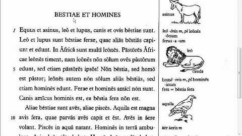 Lingua - 10.1 - Reading Tutorial