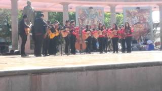 rondalla suspiro acustico del incorpora zitacuaro