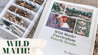 Wild Math: Flip Through!