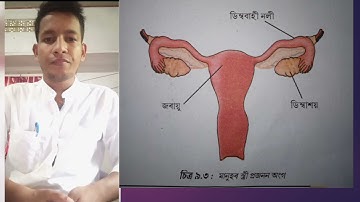 প্ৰাণীৰ প্ৰজনন || বিজ্ঞান||শ্ৰেণীঃ অষ্টম