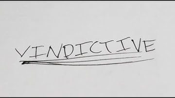 Partner Of Insanity: Vindictive (Official Music Video)