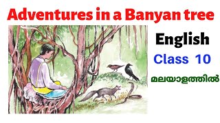 Adventures in a Banyan tree | Class 10 | English | Scert | Malayalam meaning