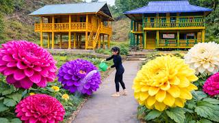 180 Days in the Countryside Bamboo Hut to Wooden House Transformation
