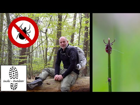 Video: 4 Möglichkeiten, Zeckenbisse beim Camping zu verhindern