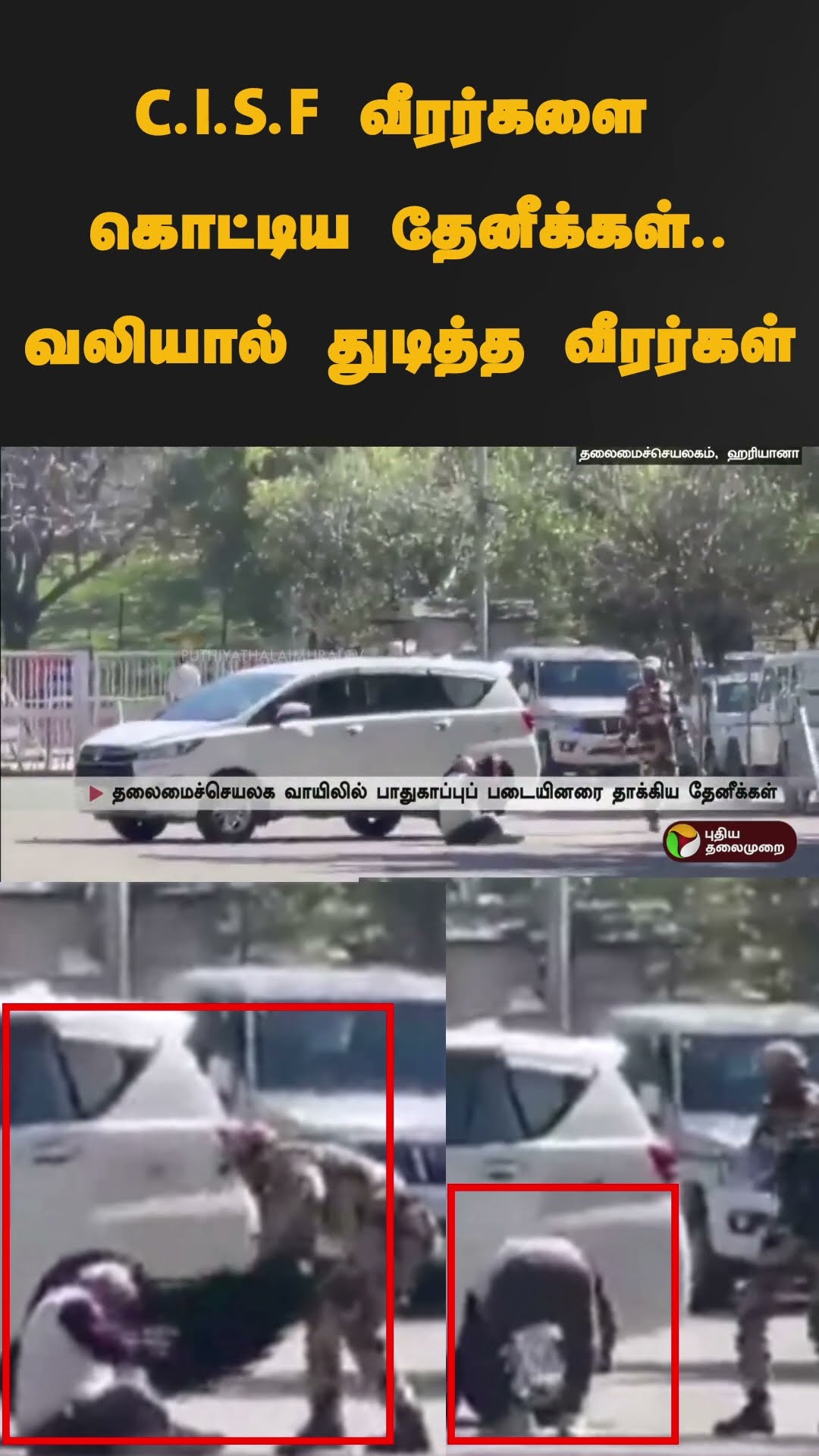 C.I.S.F வீரர்களை கொட்டிய தேனீக்கள்..வலியால் துடித்த வீரர்கள் | #Shorts | #haryana | #cisf | #honeybe
