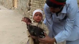 Little Boy Saves Chicken From Slaughter