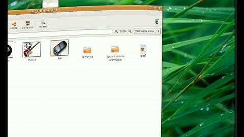 Ubuntu compiz fusion cairo-dock
