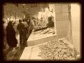 fish market سوق السمك