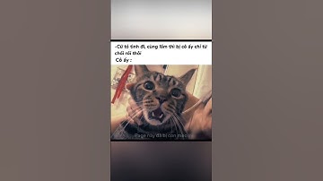 Nước đi này tại hạ không lường trước được =)) #shortvideo #meme #youtubeshorts